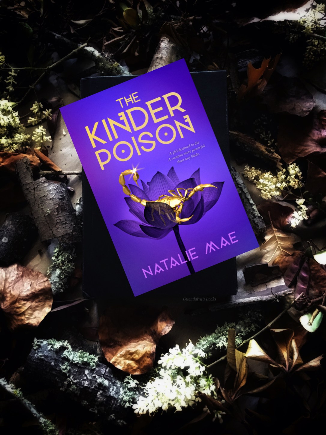 98AE789A-A46B-42F3-8A1B-4E739A19E448