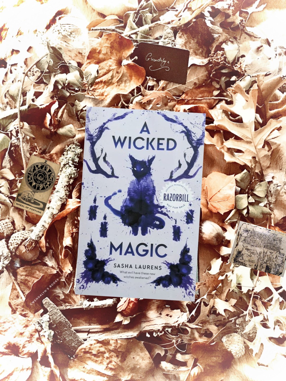 17E2252A-8FB8-47C5-B8CE-6AD7F2FD652D