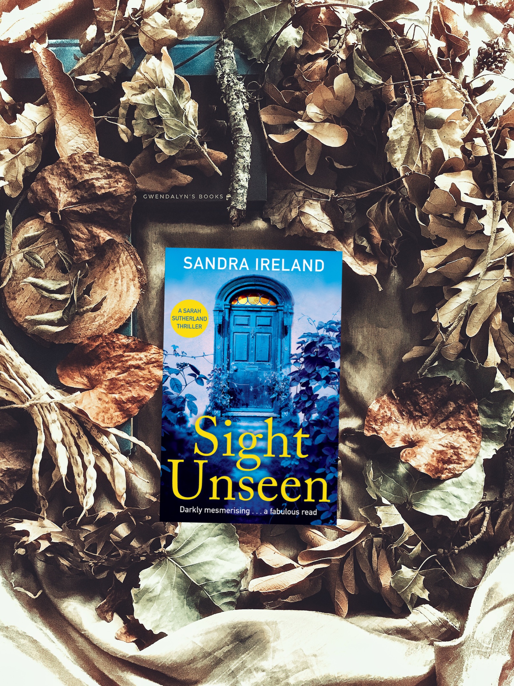 917522ED-58BE-4408-893F-B17235B08A71