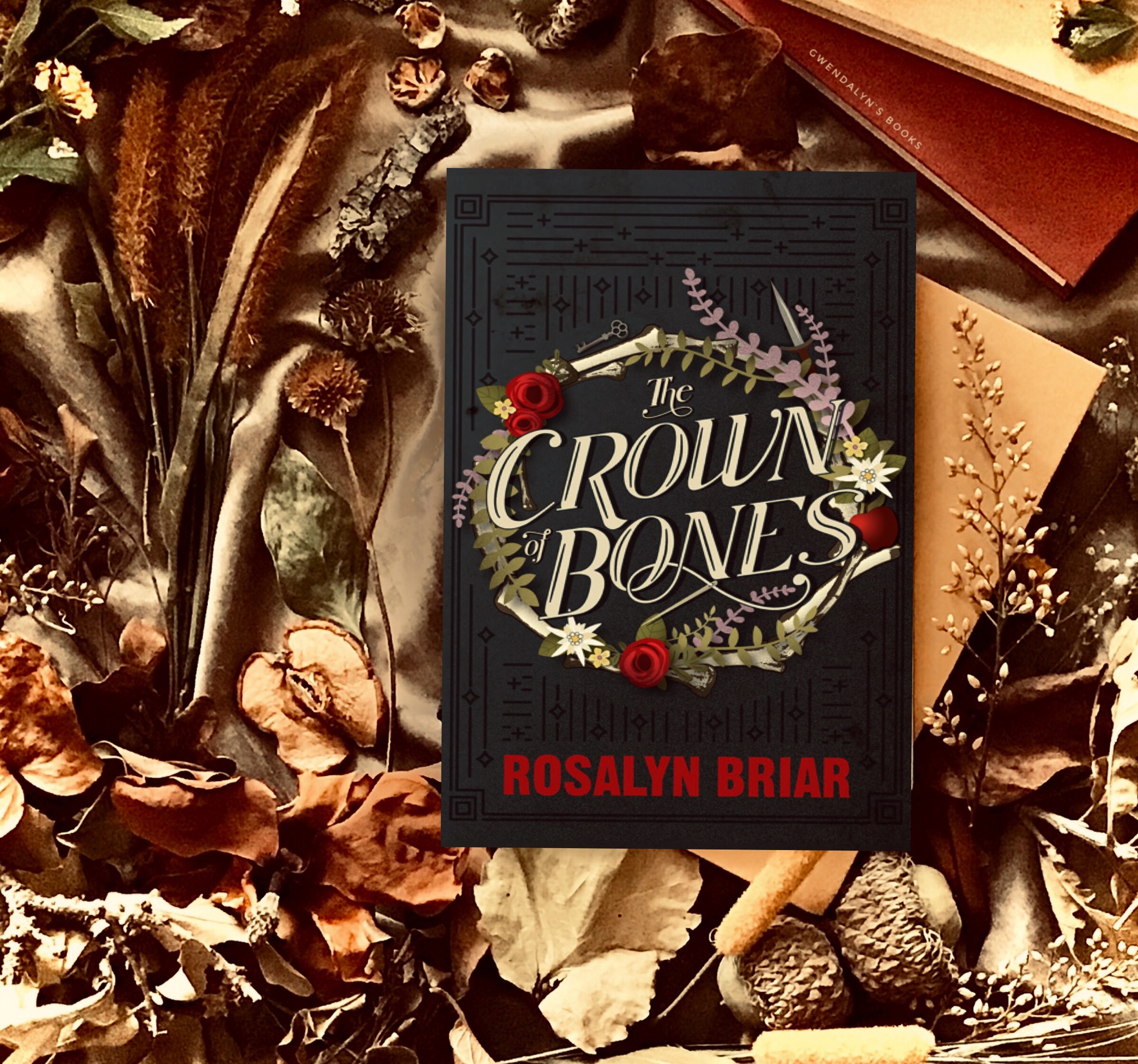 21BB24B5-9763-4FFB-A4C7-F2CC9C629FB9