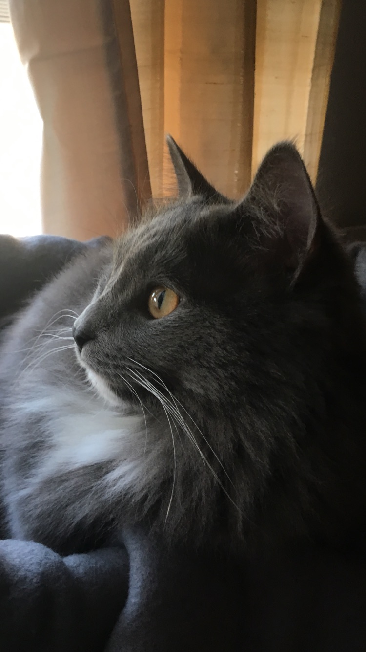 3B81AC64-450C-4B07-8DCB-5092EC48167E